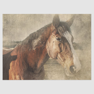 Pferd im Staub Seidenpapier