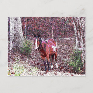 Pferd im Wald Postkarte