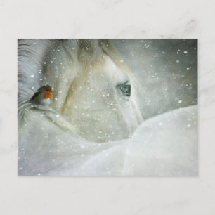 Pferd im Winter Postkarte