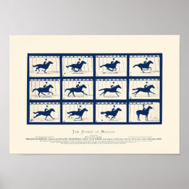 Pferd in Bewegung - Sallie Gardner am Gallop Poster