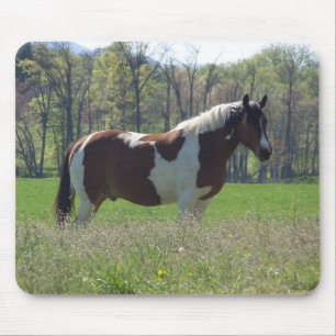 Pferd in den Wildblumen Mousepad