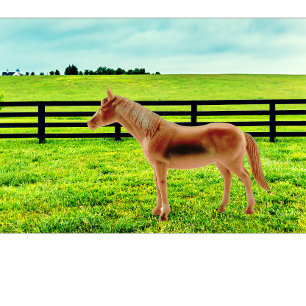 Pferd in der Weide T-Shirt