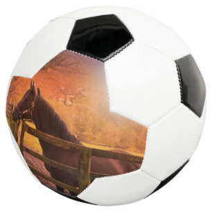 Pferd in der Wiese Ball