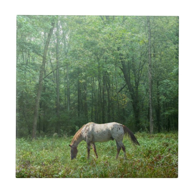 Pferd in der Wiese Fliese (Vorderseite)