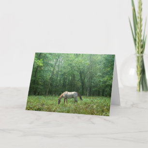 Pferd in der Wiese Karte