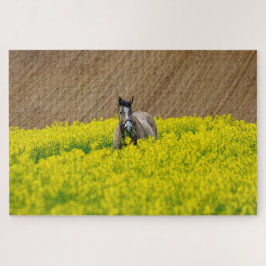 Pferd in einem Feld von Blume Puzzle