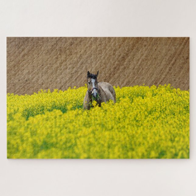 Pferd in einem Feld von Blume Puzzle (Horizontal)