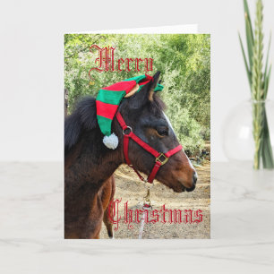 Pferd in Elfenhut gefaltete Weihnachtskarte Feiertagskarte
