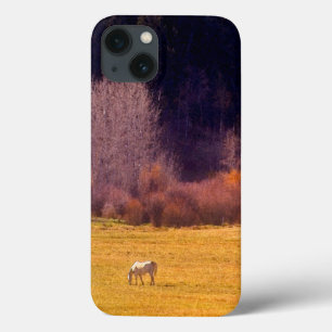 Pferd in Fall I Case-Mate iPhone Hülle