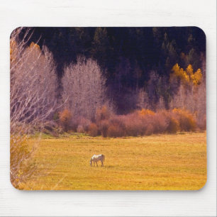 Pferd in Fall I Mousepad