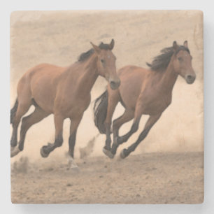 Pferd in Fall II Steinuntersetzer