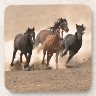 Pferd in Fall II Untersetzer