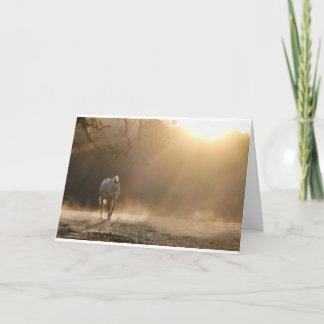Pferd in Light Equine Sympathy Card Karte