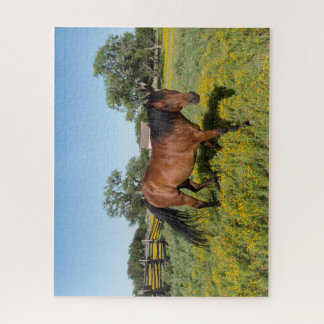 Pferd in Medow Puzzle