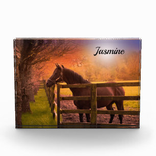Pferd in Paddock Personalisiert Fotoblock