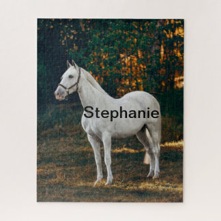 Pferd in Paddock und Pferdefreund, tierische Liebe Puzzle