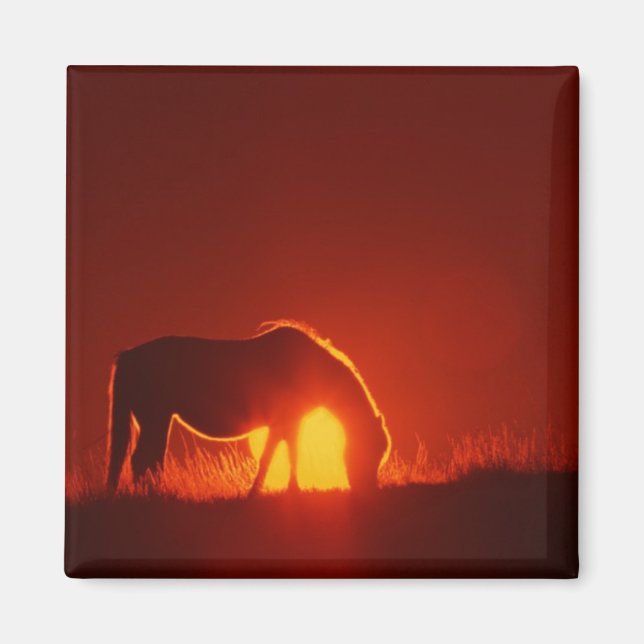 Pferd in Red Sunset Magnet (Vorne)