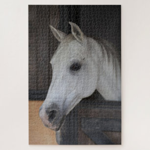 Pferd in Stall Puzzle