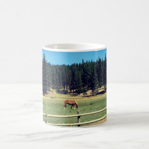 Pferd in Weide Kaffeetasse