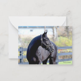 Pferd in Weide Mitteilungskarte