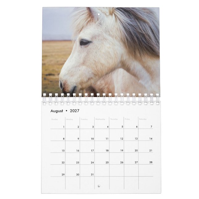 Pferd Kalender (Aug 2027)