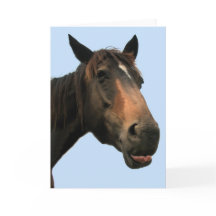 Pferd