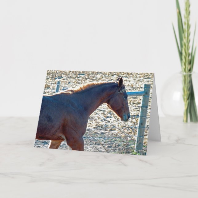 Pferd Karte (Vorderseite)