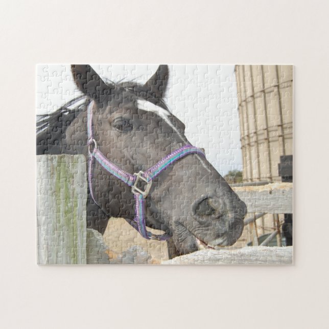 Pferd kauen einen Zaun Post Puzzle (Horizontal)