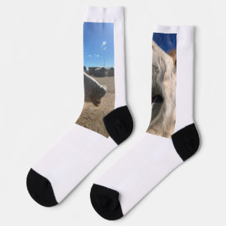 Pferd Lächelt Socken