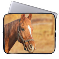 Pferd