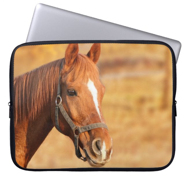 Pferd Laptopschutzhülle (Vorderseite)