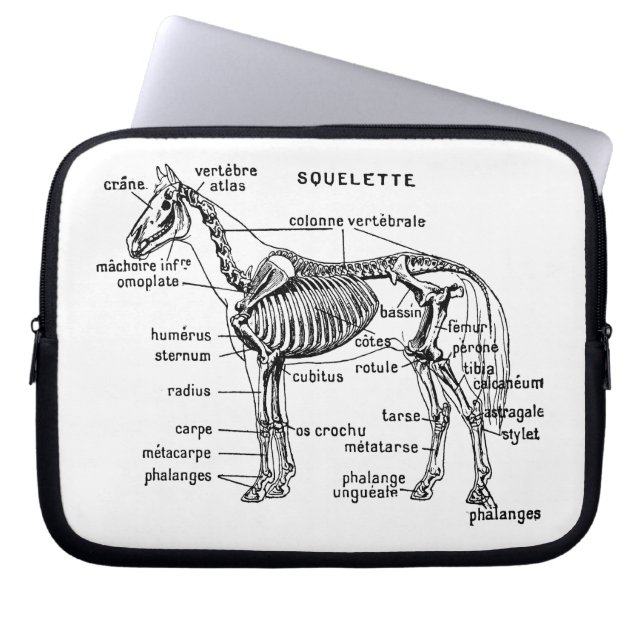 Pferd Laptopschutzhülle (Vorderseite)