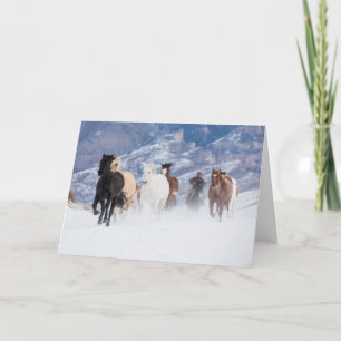 Pferd läuft durch den Schnee Karte
