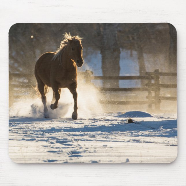 Pferd läuft durch den Schnee Mousepad (Vorne)