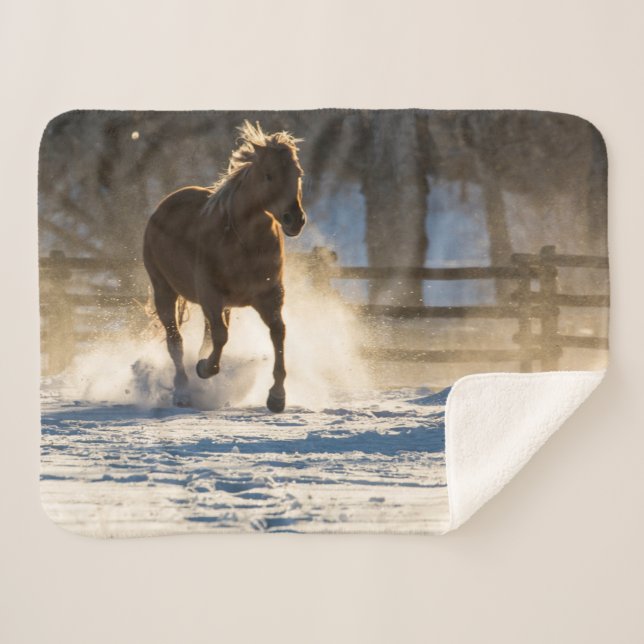Pferd läuft durch den Schnee Sherpadecke (Vorderseite (Horizontal))