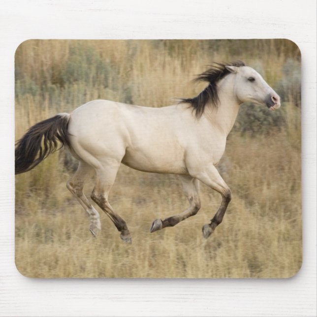 Pferd läuft durch Präriegras Mousepad (Vorne)