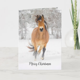 Pferd läuft im Schnee gefaltete Weihnachtskarte Feiertagskarte