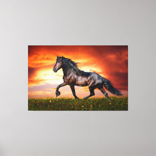 Pferd Leinwanddruck