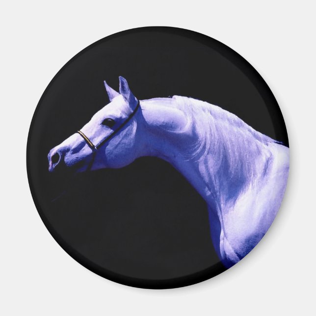 Pferd Magnet (Vorne)