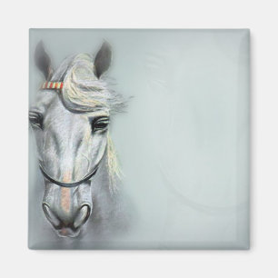 PFERD MAGNET