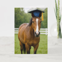 Pferd mit blauem Abschluss Hut
