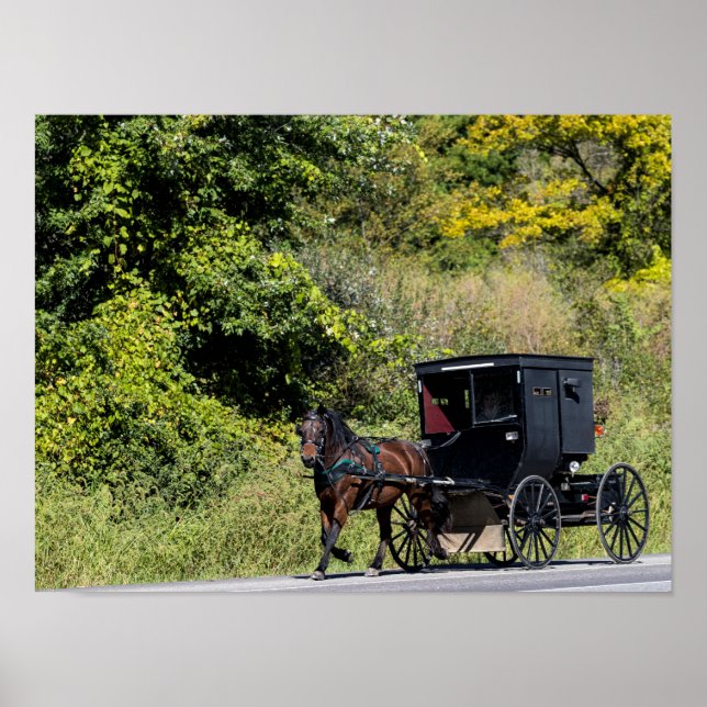 Pferd mit Buggy im Amish Land Poster (Vorne)