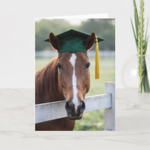 Pferd mit grüner Abschlussmütze Karte