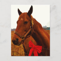 Pferd mit Red Bow