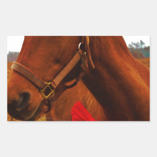 Pferd mit Red Bow Rechteckiger Aufkleber