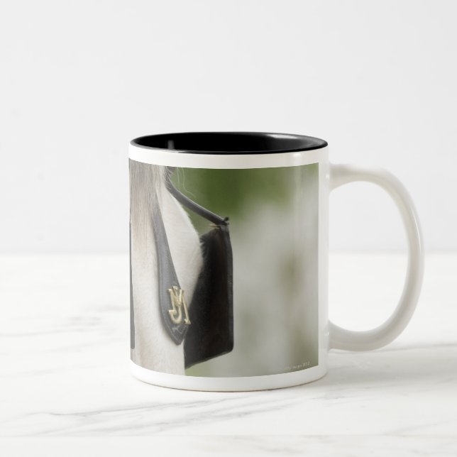 Pferd mit Scheuklappen Zweifarbige Tasse (Rechts)