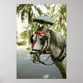 Pferd mit Sonnenschirm, Madrid, Spanien Poster