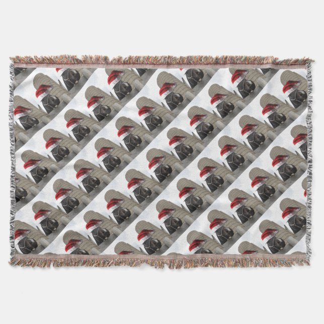 Pferd mit Weihnachtsmannmütze Decke (Vorderseite)