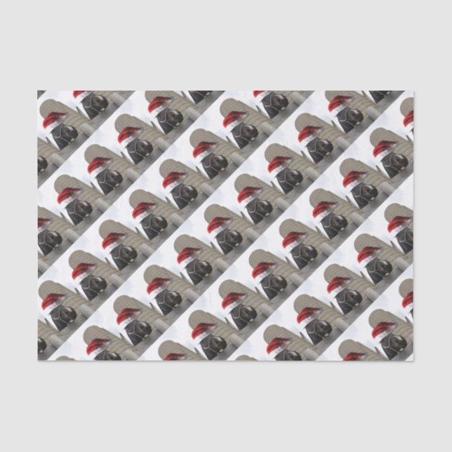 Pferd mit Weihnachtsmannmütze Seidenpapier (Vorderseite)