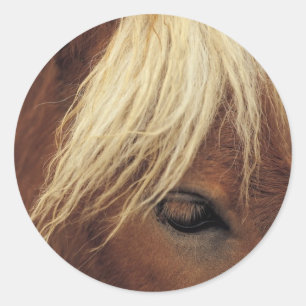 Pferd mit weißem Mane Runder Aufkleber